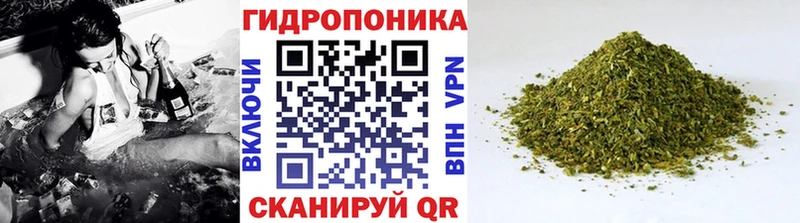 блэк спрут tor  Усть-Кут  Бошки Шишки конопля 